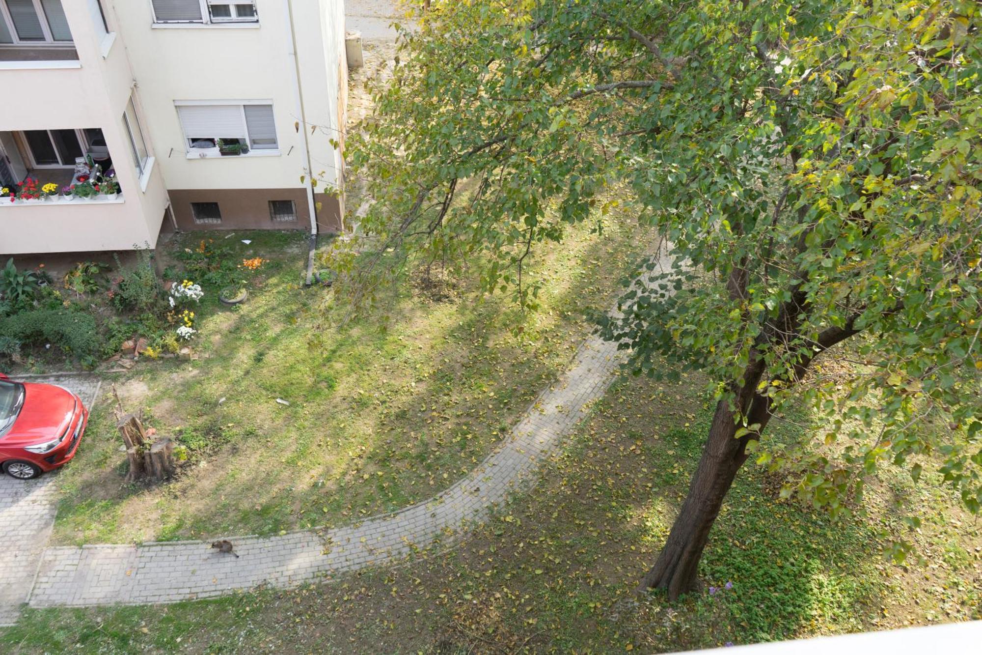 Apartment Big In Skopje